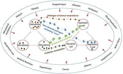 The Influence of Host Stress on the Mechanism of Infection: Lost Microbiomes, Emergent Pathobiomes, and the Role of Interkingdom Signaling